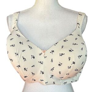Cacique Lightly Lined Fill Coverage No Wire Bra SZ 46D in Ivory Blue Floral